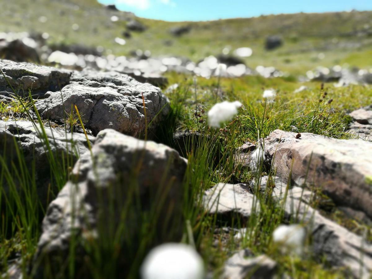 Appartamento Le Plein Soleil 2 510 Orcières Esterno foto